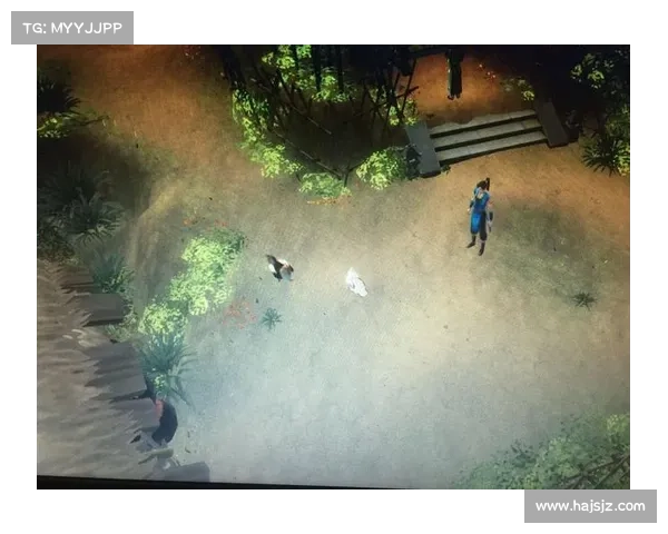 揭秘侠客风云传秘境探险中的隐藏技巧与通关秘诀解析 揭秘侠客风云传秘境探险中的隐藏技巧与通关秘诀解析