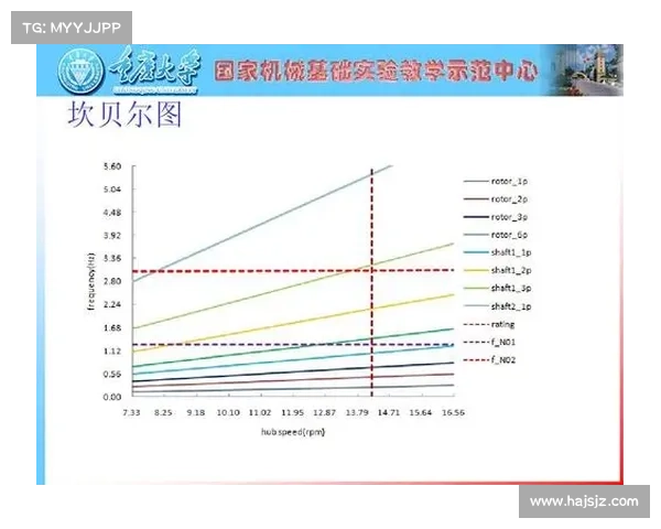 坎贝尔最佳位置系统化分析与发展建议的综合研讨与未来展望